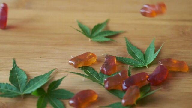 Slow Motion CBD Gummies Falling Onto Marijuana Leaves