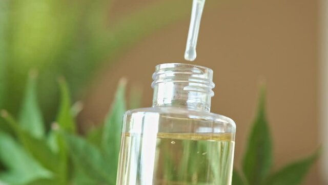 CBD Oil in Slow Motion, Being Dropped Into Clear Glass Bottle with Marijuana Leaves in Background