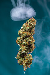 planta cogollo de marihuana cannabis exterior verde macro close up hoja con tricomas con humo