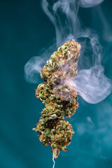 planta cogollo de marihuana cannabis exterior verde macro close up hoja con tricomas con humo