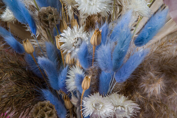 dried flowers arrangement with lagurus