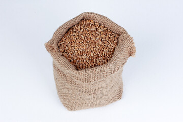 Wheat grains in burlap sack isolated on white background. Top view, high angle, closeup, close object. Harvest, farming, agriculture concept