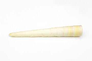 Fresh bamboo shoots isolated on a white background.