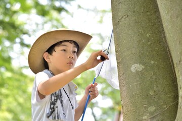 クワガタ採りの男の子