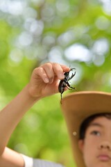 クワガタ採り