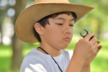 クワガタ採りの男の子