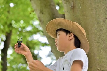 クワガタ採りの男の子