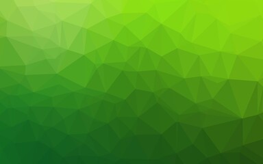 Light Green vector low poly cover. Shining illustration, which consist of triangles. Brand new design for your business.
