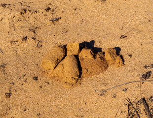 Lumps of sand in a pile