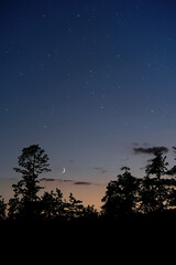 beautiful night landscape background. Night view with silhouette trees, star sky and moon.  Dreamy atmosphere image.
