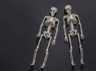 Two skeletons on black dark background. Top view
