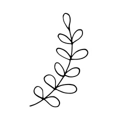 leaf hand drawn in doodle style. single element for design icon, card, poster, sticker. vector, scandinavian, hygge, monochrome. autumn, summer, foliage, forest, tree falling leaves