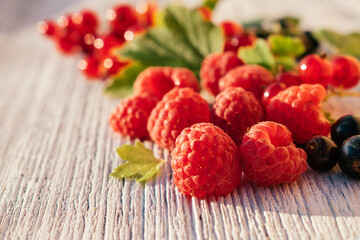 Raspberries, blurred red and black currant with leaves and on a white wooden background. Summer concept and concept of vitamin berries. Selective focus with shallow depth of field, copy space for text
