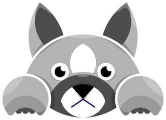 animal, cartoon, cute, cat, illustration, dog, panda, animals, kitten, pet, white, black, head, cats, happy, pets, vector, mammal, bear, smile, tiger, isolated, funny, logo