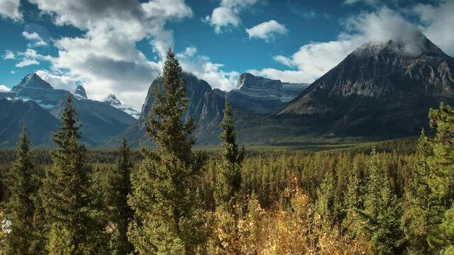 Forest and mountain range in the background