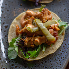 Chicken and cactus corn tortilla taco