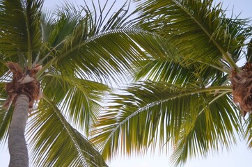 Obraz premium stoked photos original