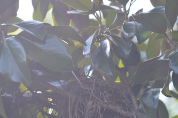 stoked photos original