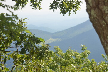 stoked photos original