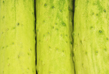 cucumber background