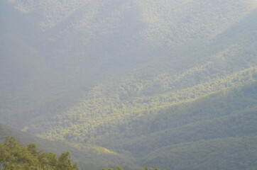 mountains in the fog