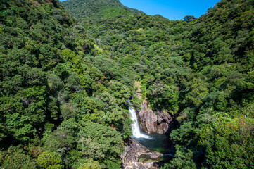 Fototapeta na wymiar 世界自然遺産、屋久島の竜神の滝