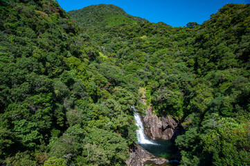 Fototapeta na wymiar 世界自然遺産、屋久島の竜神の滝