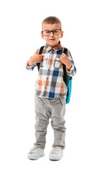 Cute little schoolboy on white background