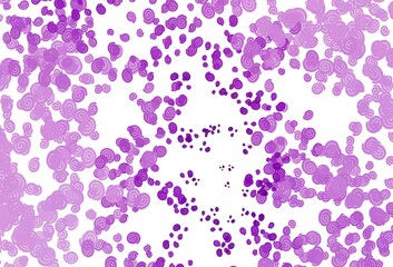 Light Purple vector background with lamp shapes.