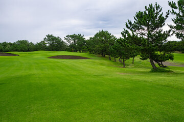 Fototapeta na wymiar View of Golf Course with fairway field. Golf course with a rich green turf beautiful scenery.