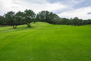 Naklejka premium Pole golfowe z pięknym zielonym polem. Pole golfowe z bogatą zielenią w pięknej scenerii.