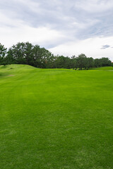 View of Golf Course with fairway field. Golf course with a rich green turf beautiful scenery.