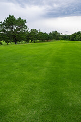Golf Course with beautiful green field. Golf course with a rich green turf beautiful scenery.