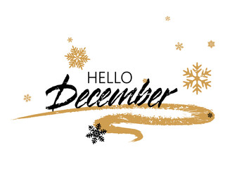 Hello winter typography vector poster graphic design. © SunwArt