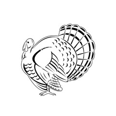 Wild Turkey a Large Bird in the Genus Meleagris Iewed from Side Retro Woodcut Black and White