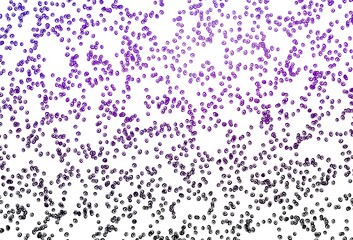 Light Purple vector texture with disks.