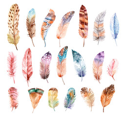 Watercolor paintings vibrant feathers. Boho style. Feathers illustration isolated on white. Design for T-shirt, invitation, wedding card - 369629808