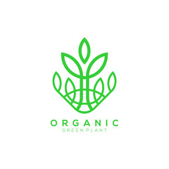 green leaf plant vector logo