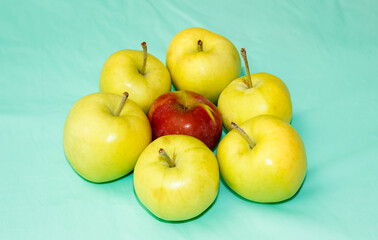 A ripe Red Apple among green apples on a light background. The concept of selecting and selecting from a shared heap.