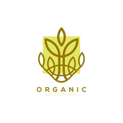 gold leaf plant vector logo with square gold background