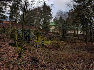 Obraz premium Brown fallen leaves, trees and houses on a cloudy December day.