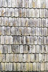 old coniferous wood roof