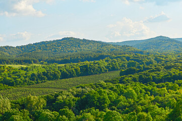 Beautiful fields against the backdrop of mountains and blue sky with clouds.