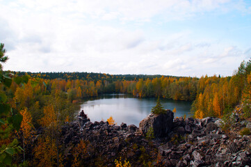 autumn in the forest lake