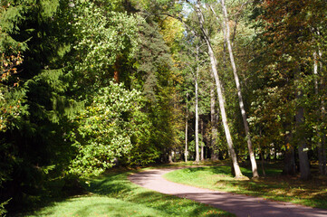 path in the park