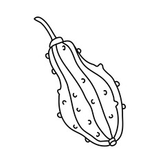Warty or pimpled gourd in doodle style. Pear shaped pumpkin. Isolated outline. Hand drawn vector illustration in black ink on white background. Great for  coloring books. Farming garden theme.