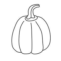 Pumpkin in doodle style. Isolated outline. Hand drawn vector illustration in black ink on white background. Great for  coloring books. Farming garden theme.