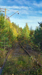 
old railway in the forest