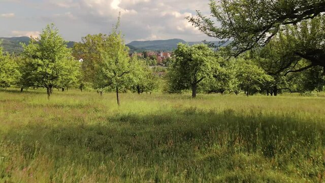 Nehren Bilder Durchsuchen 145 Archivfotos, und Videos