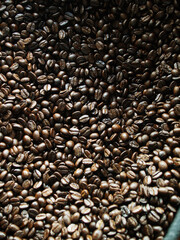 coffee beans background